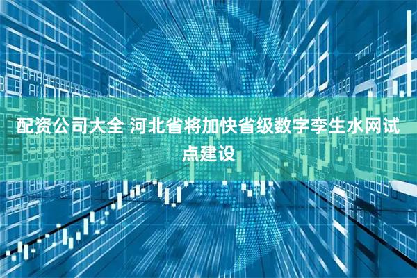 配资公司大全 河北省将加快省级数字孪生水网试点建设