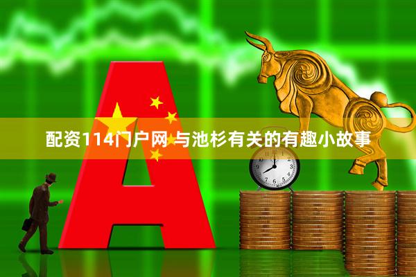 配资114门户网 与池杉有关的有趣小故事
